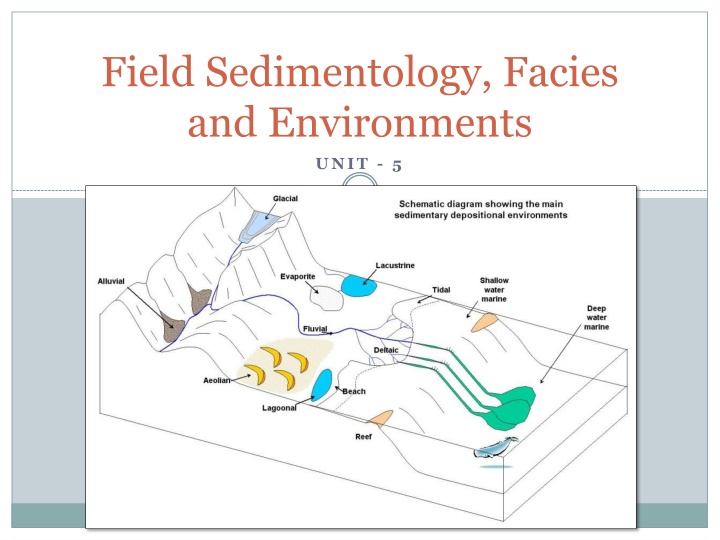 field sedimentology facies and environments