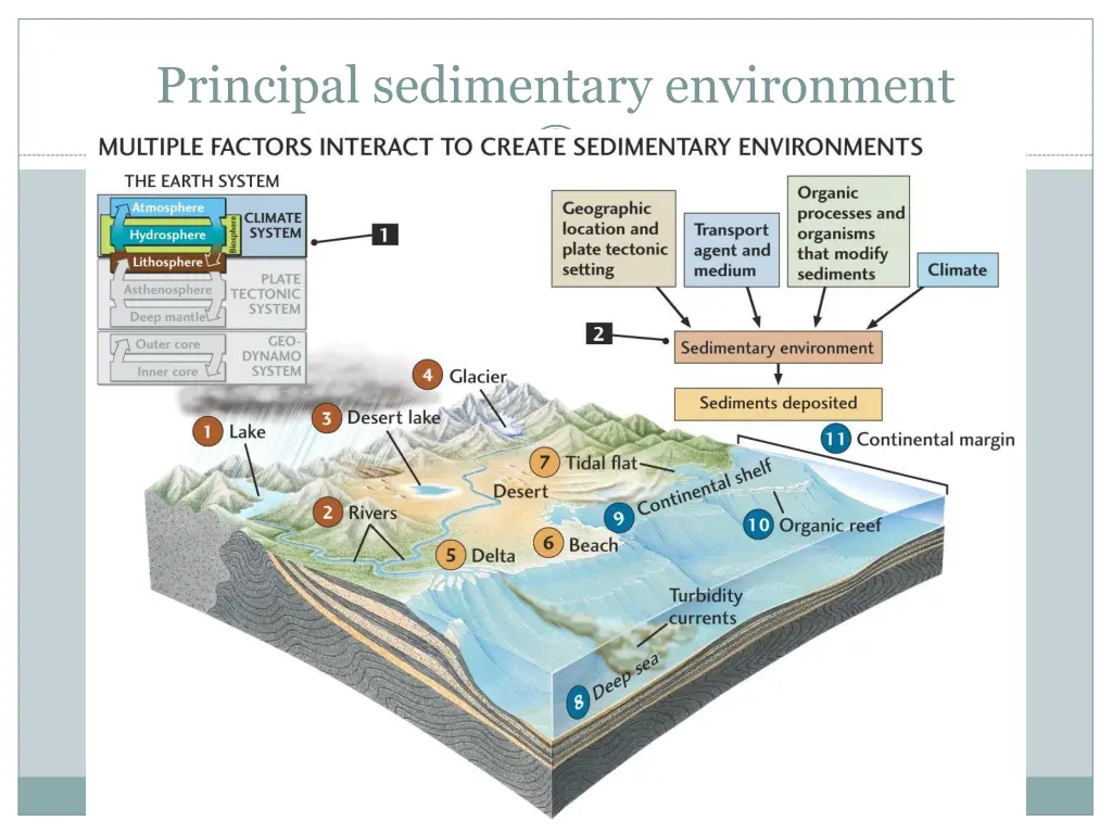 principal sedimentary environment