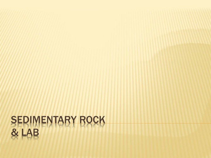 sedimentary rock lab