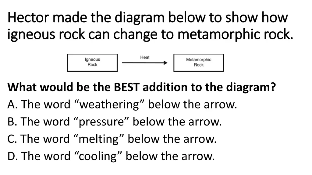 hector made the diagram below to show how hector