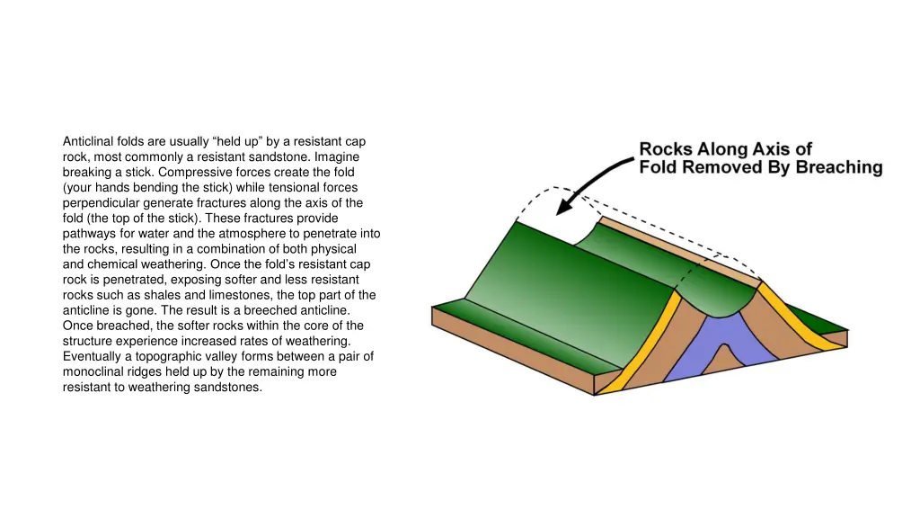 anticlinal folds are usually held