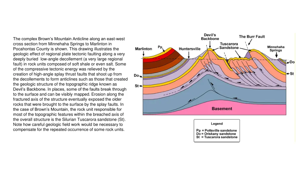 the complex brown s mountain anticline along