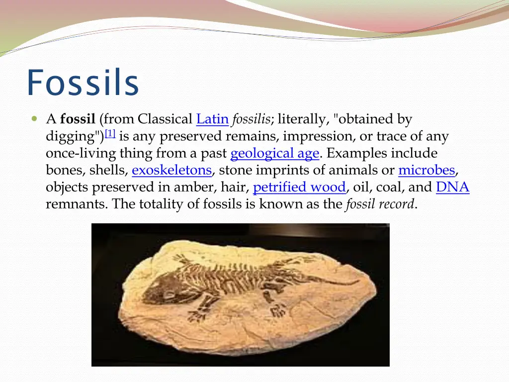 fossils