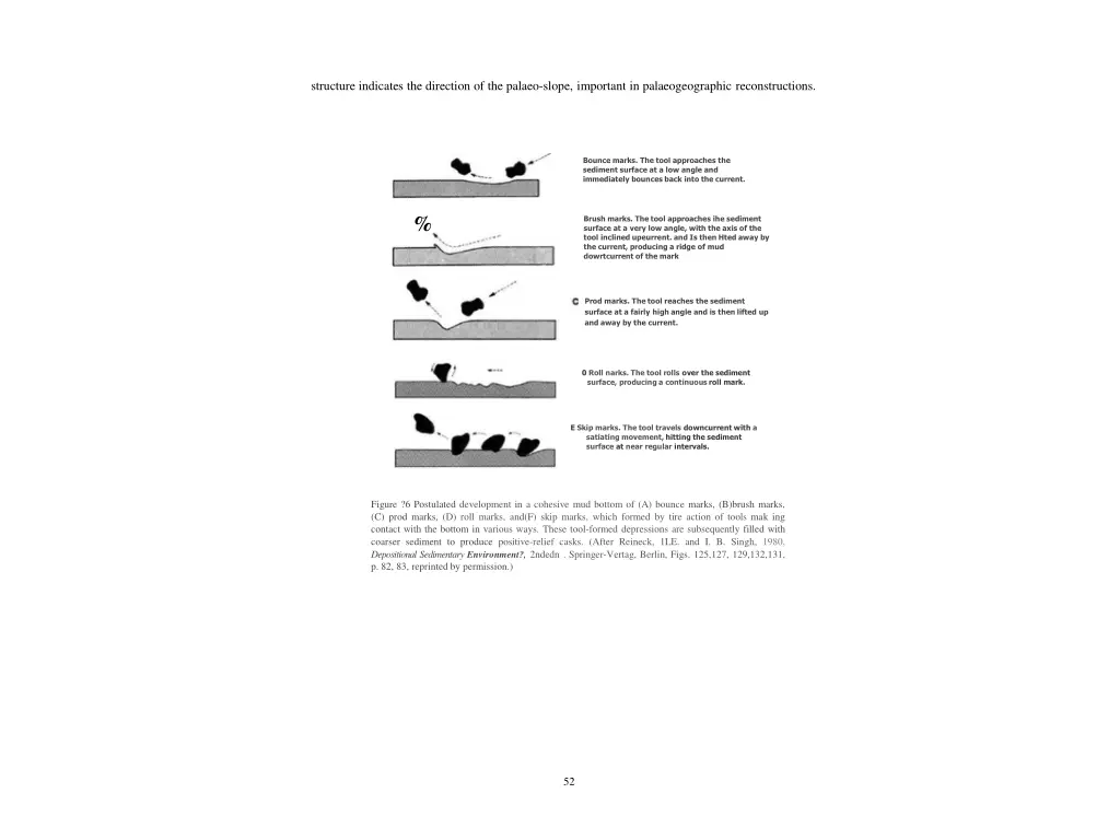 structure indicates the direction of the palaeo