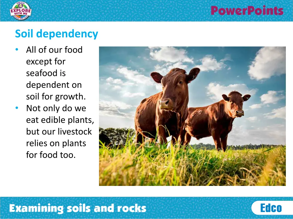 soil dependency