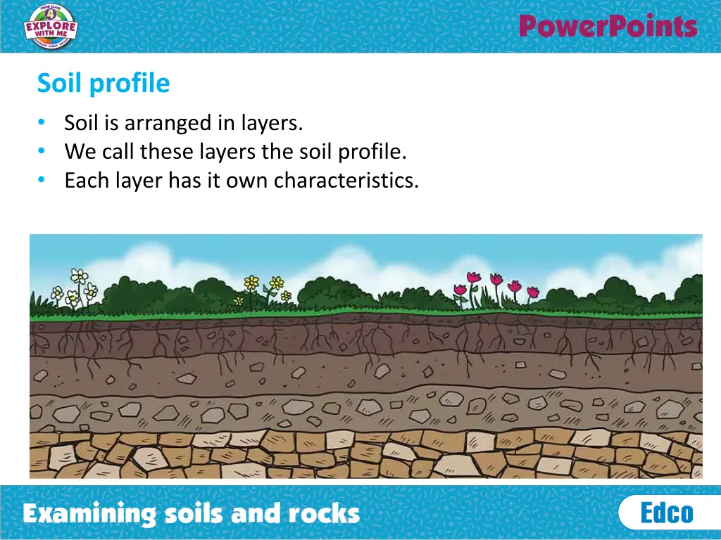 soil profile