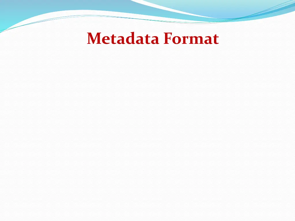 metadata format