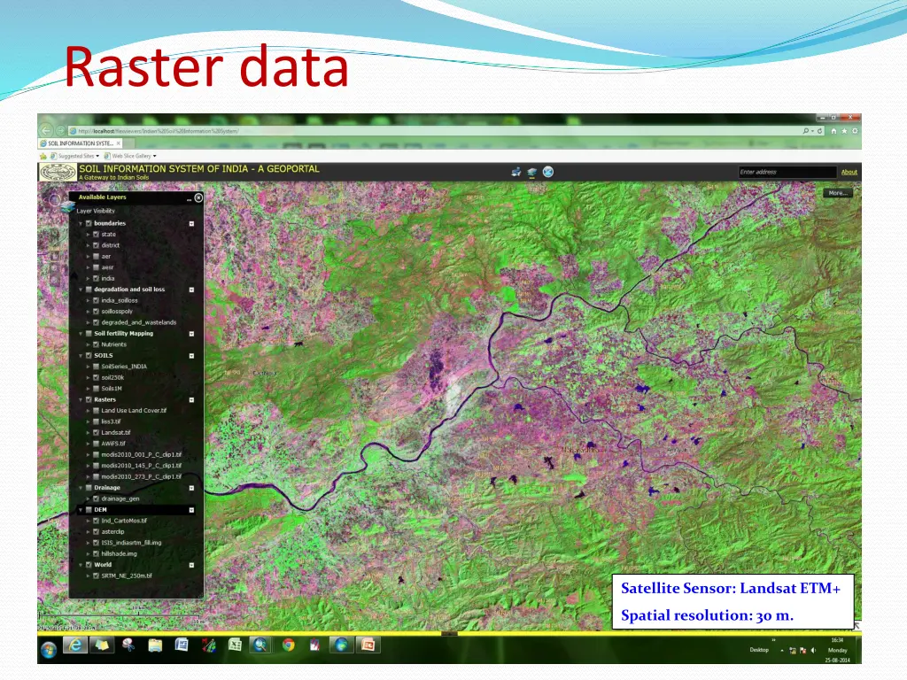 raster data