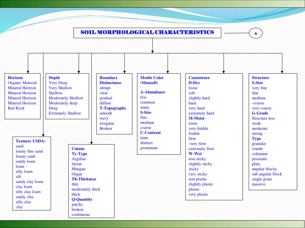 soil morphological characteristics soil