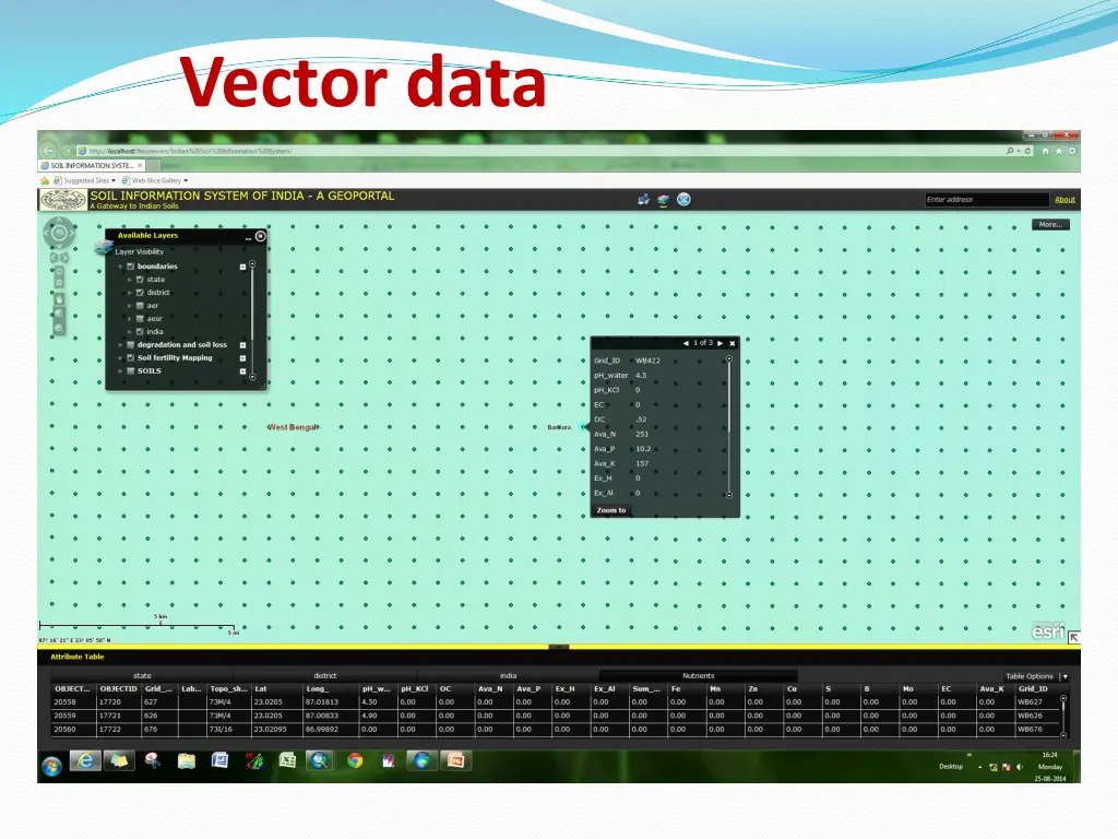 vector data