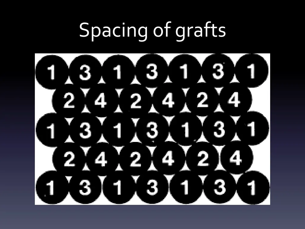 spacing of grafts