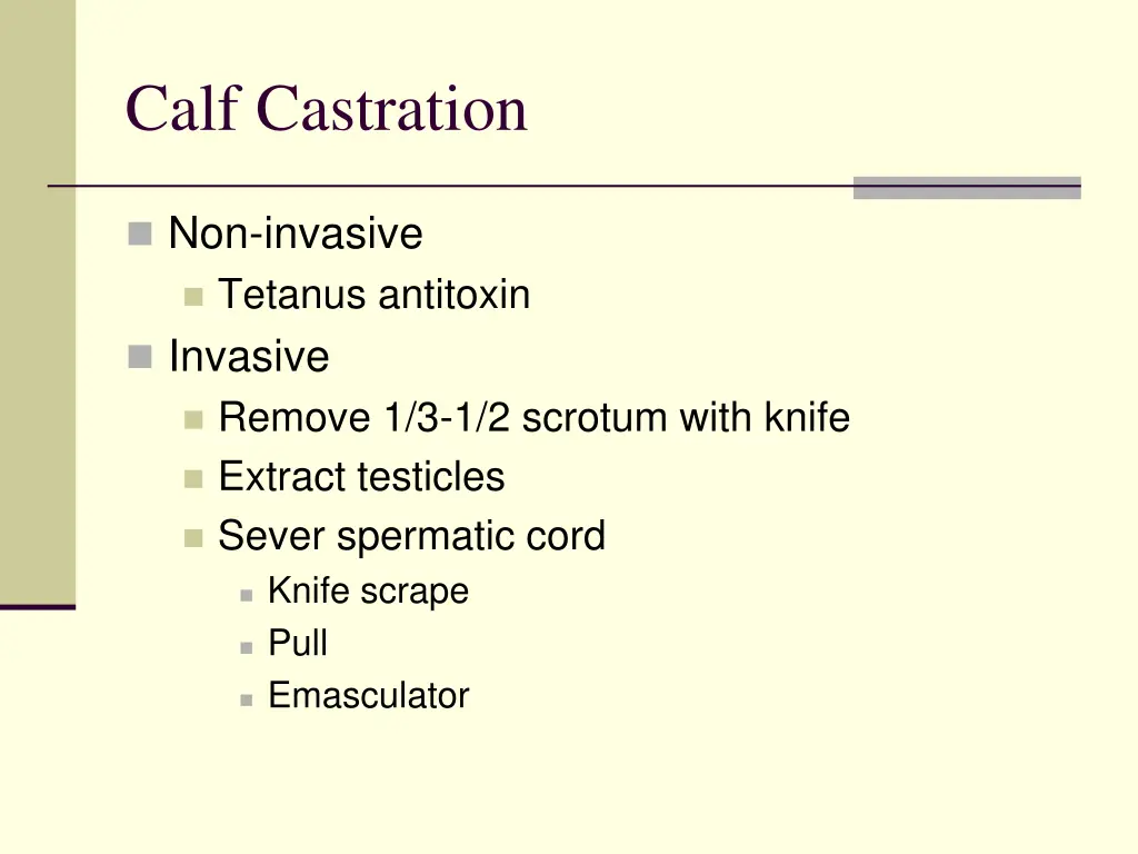 calf castration