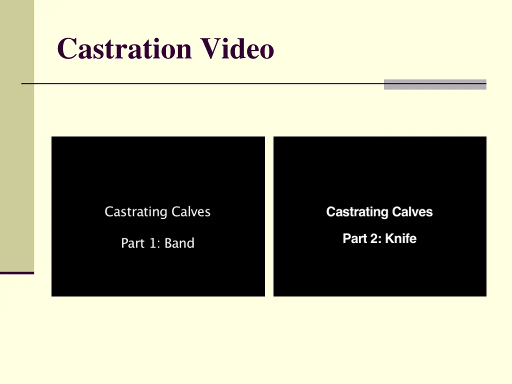 castration video