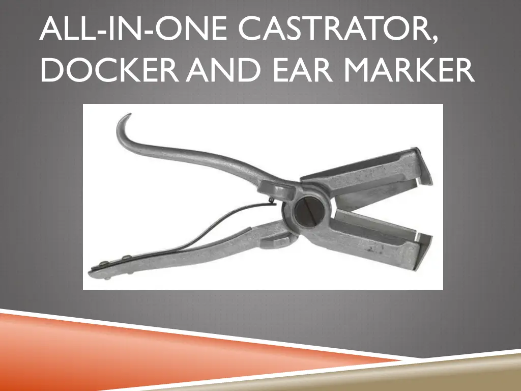 all in one castrator dockerand ear marker