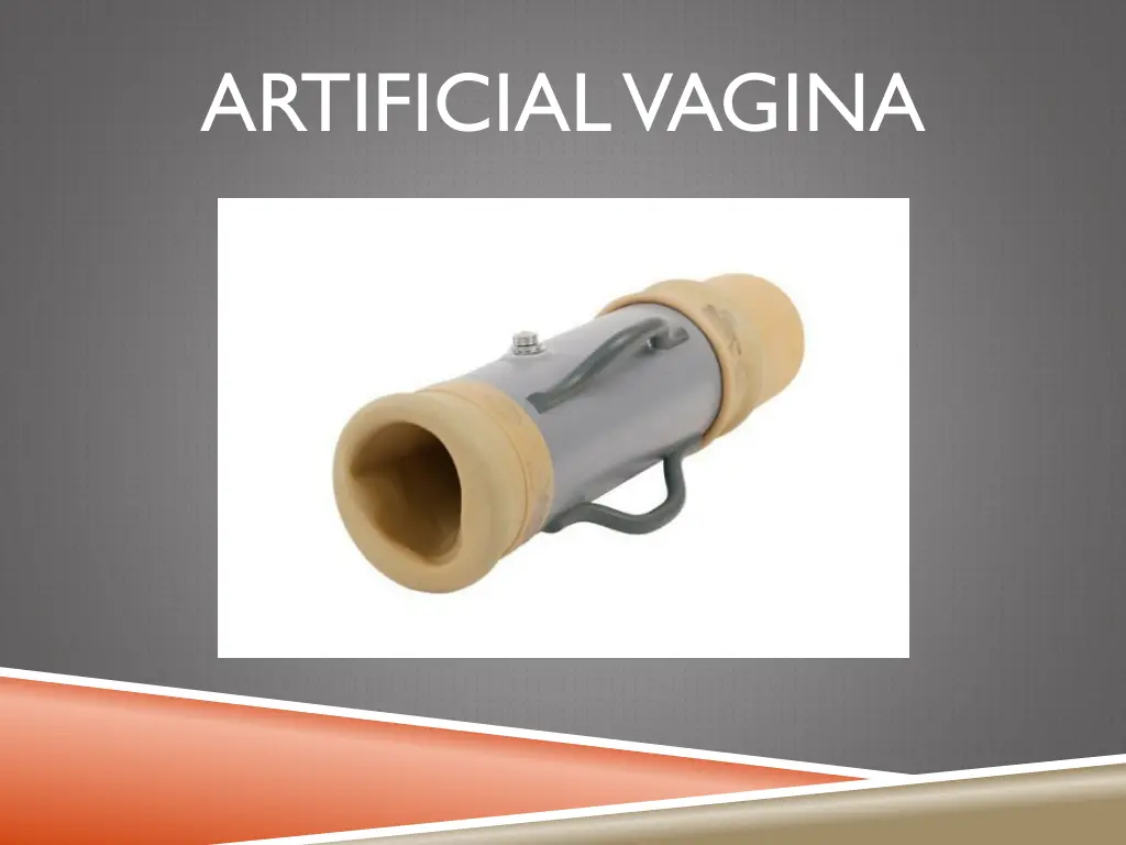 artificial vagina