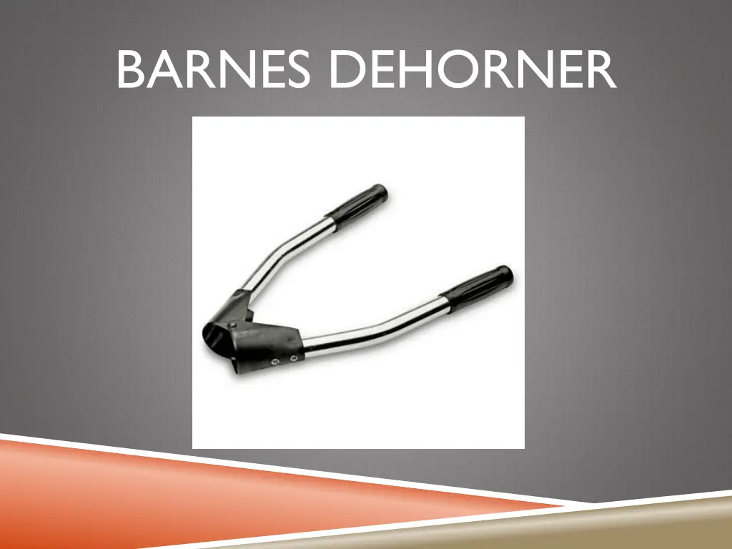 barnes dehorner