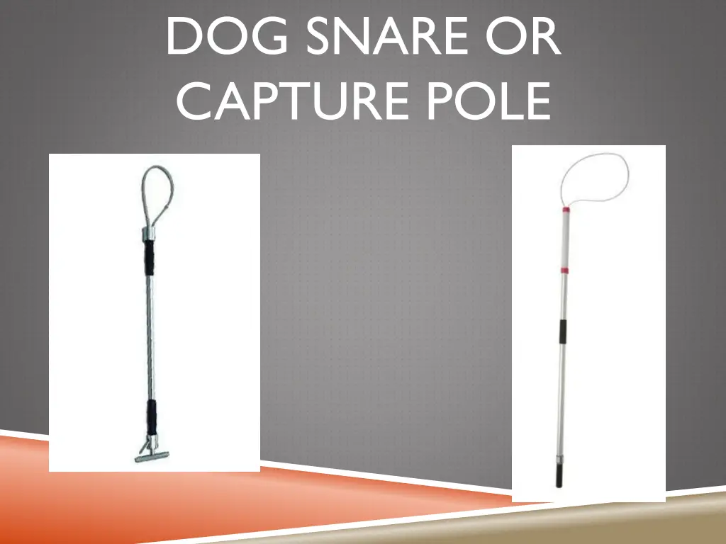 dog snare or capture pole