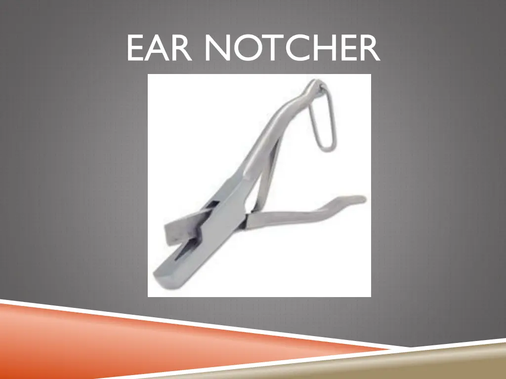 ear notcher