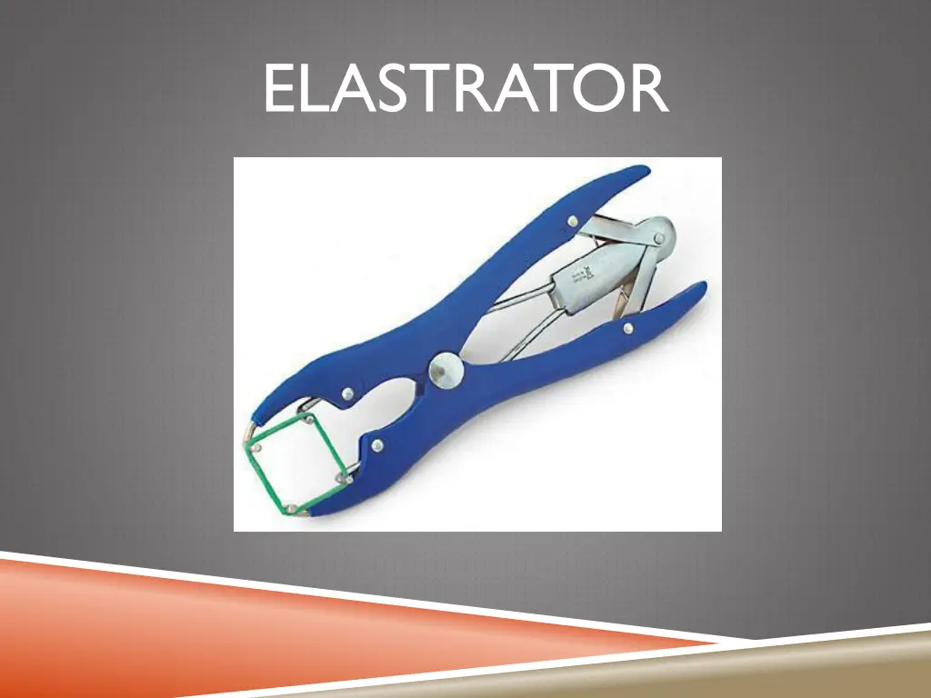 elastrator