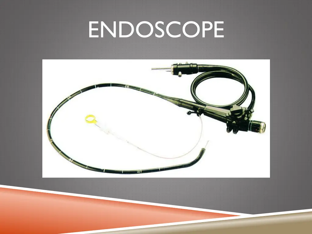 endoscope