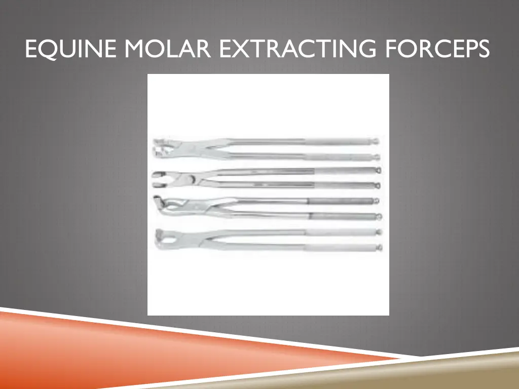 equine molar extracting forceps