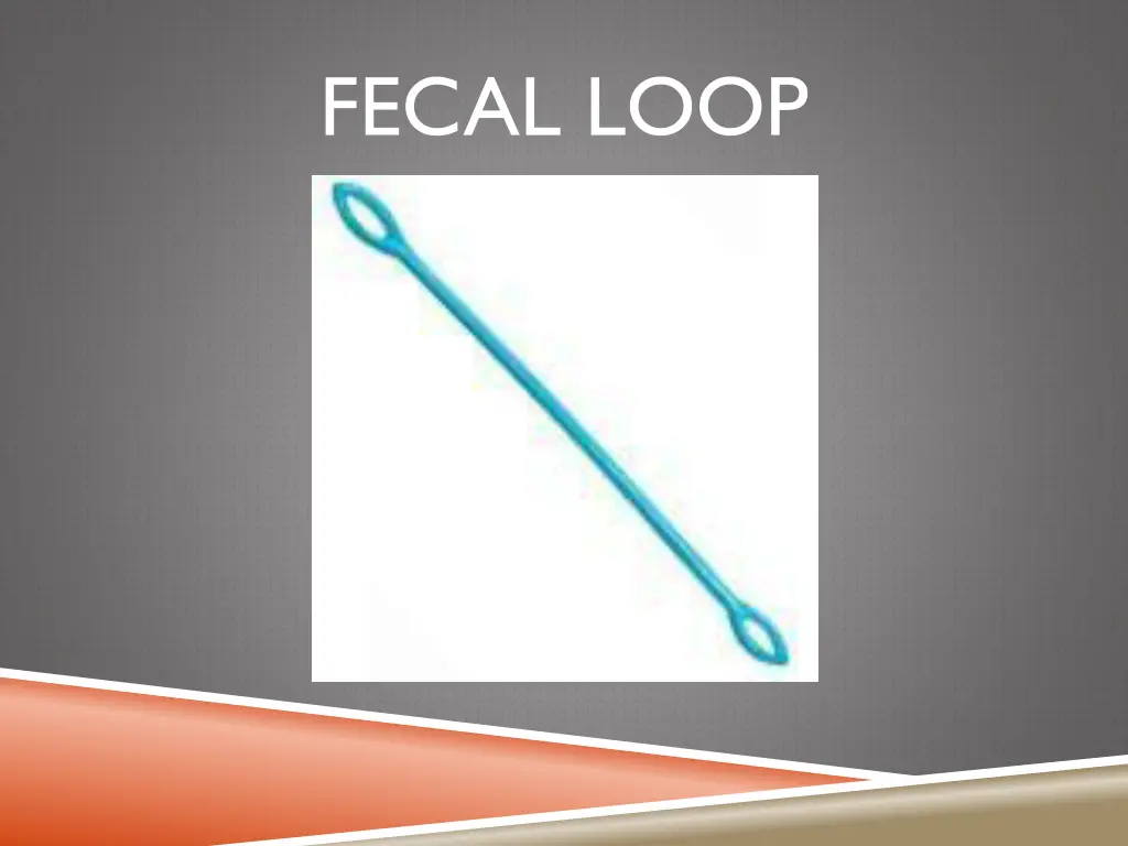 fecal loop