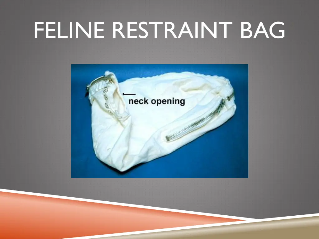 feline restraint bag