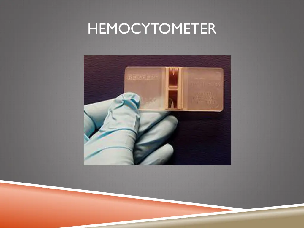 hemocytometer