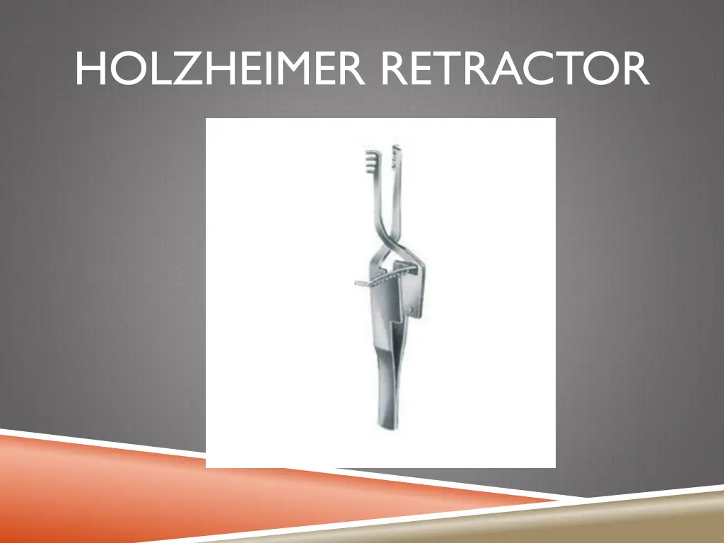 holzheimer retractor