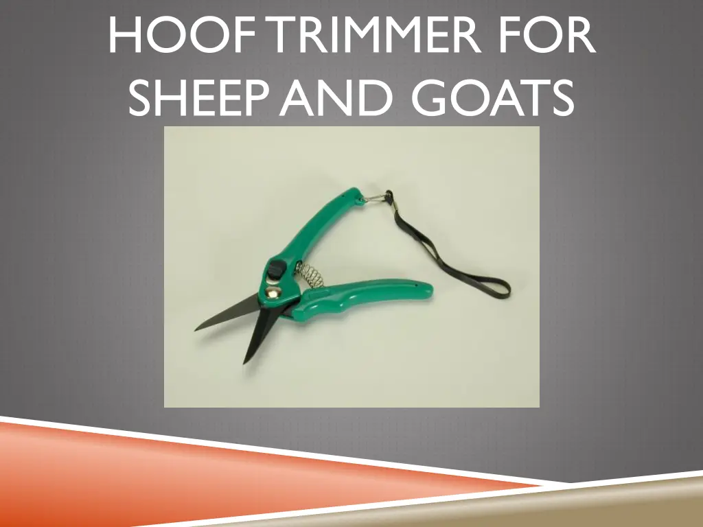 hoof trimmer for sheep and goats