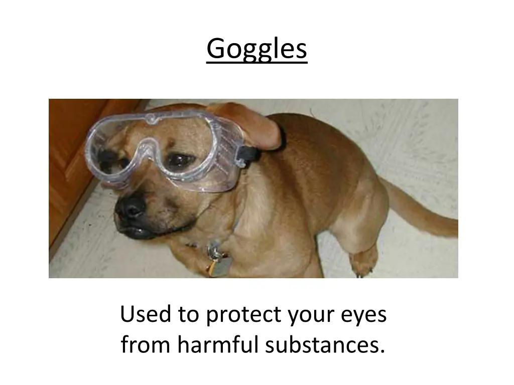 goggles