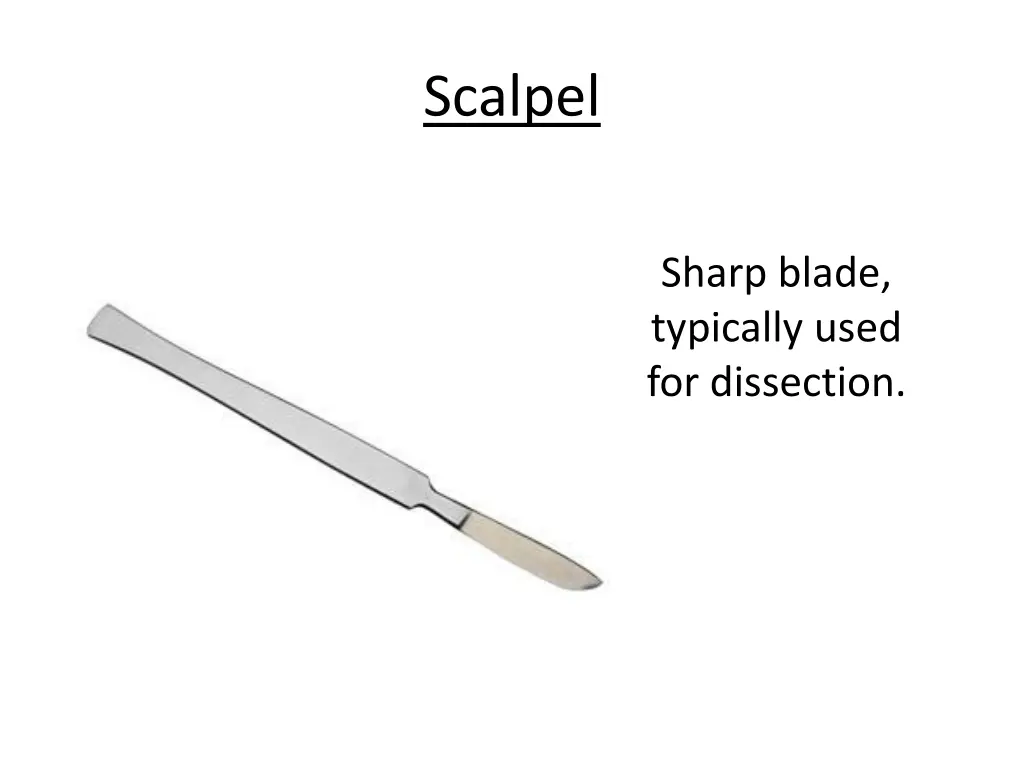 scalpel