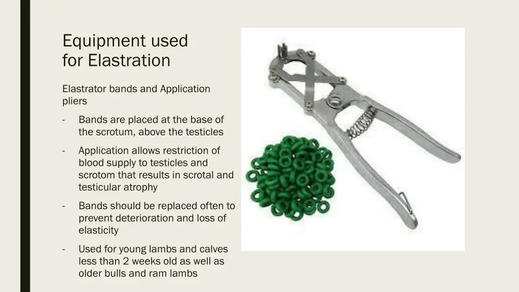 equipment used for elastration