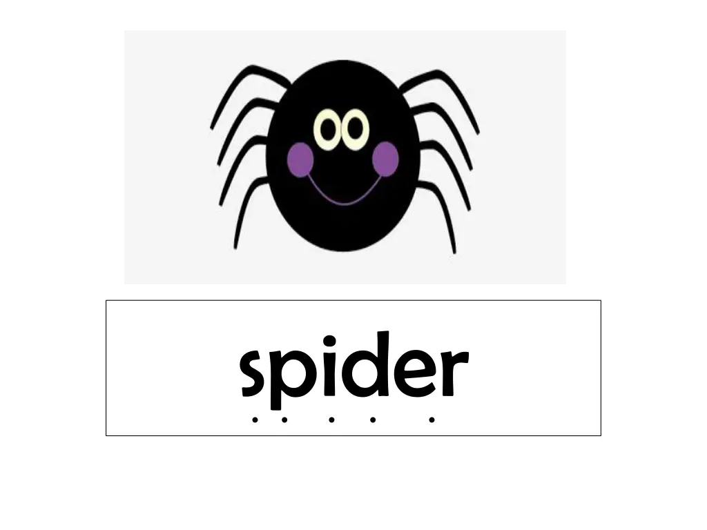 spider