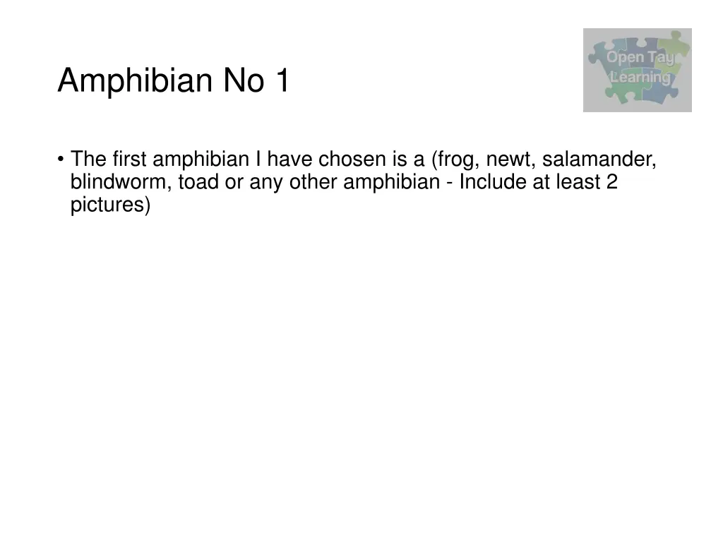 amphibian no 1