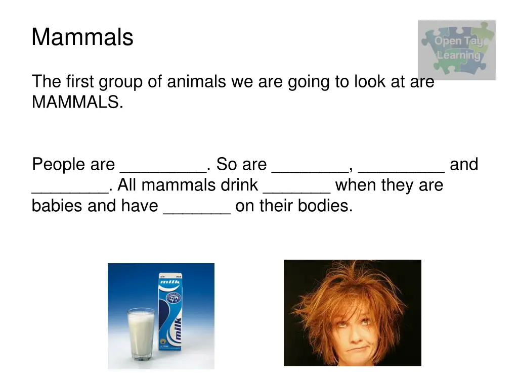 mammals