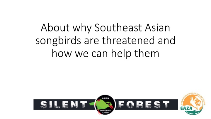 about why southeast asian songbirds