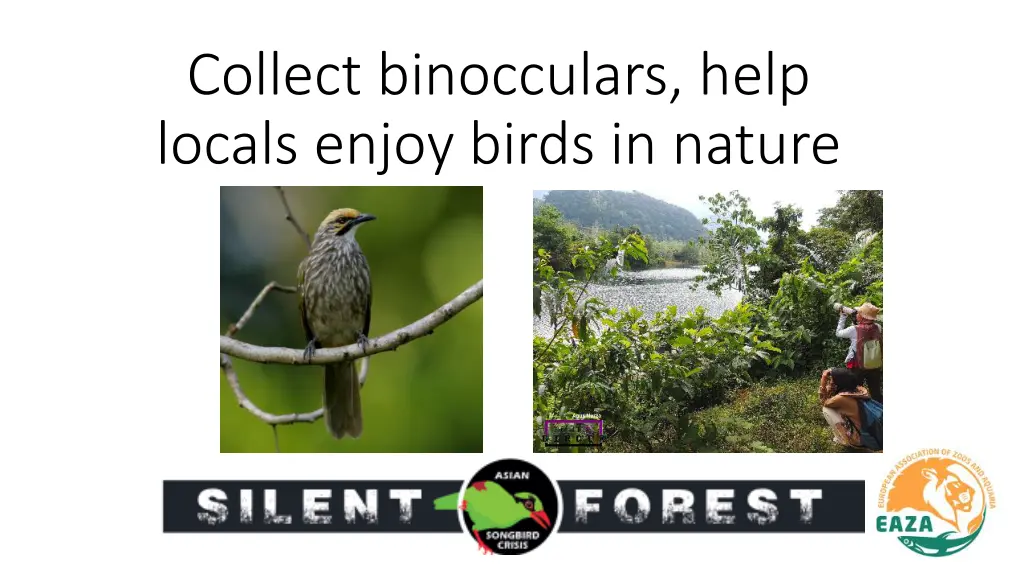 collect binocculars help locals enjoy birds