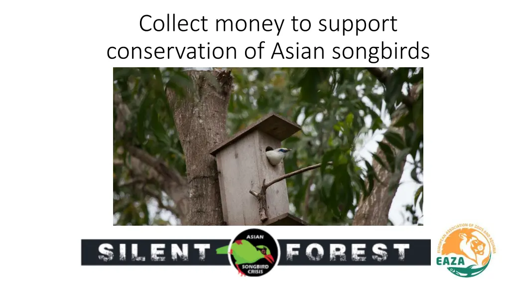 collect money to support conservation of asian