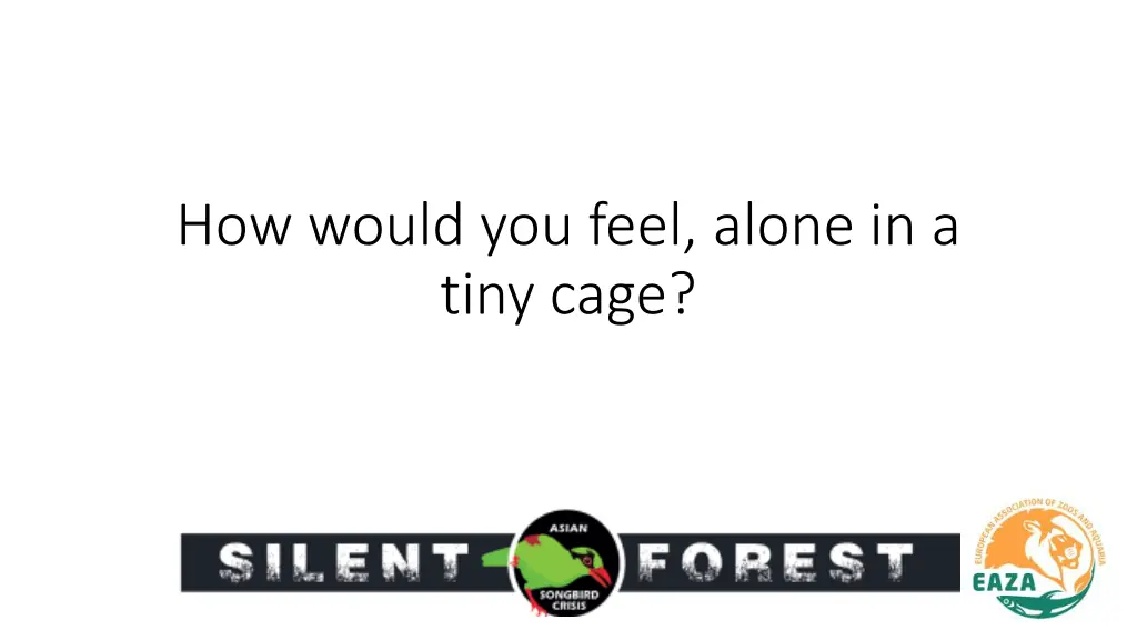 how would you feel alone in a tiny cage