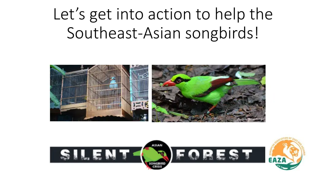 let s get into action to help the southeast asian