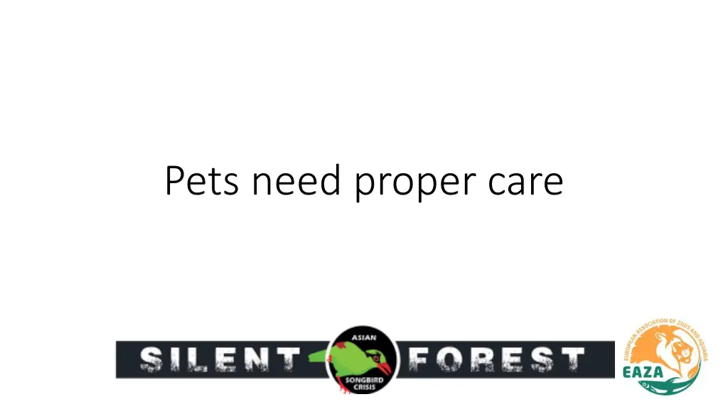 pets need proper care