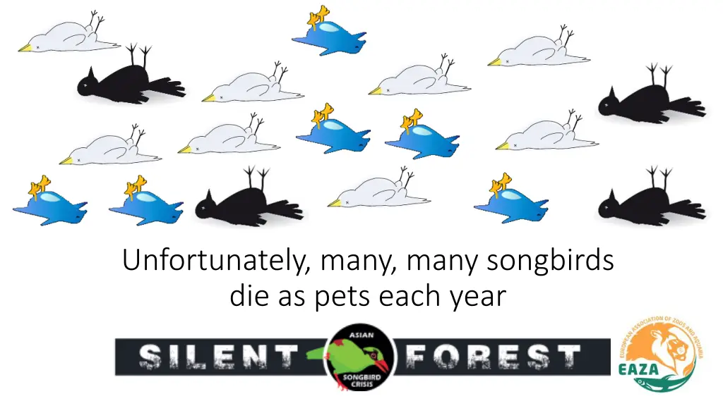 unfortunately many many songbirds die as pets