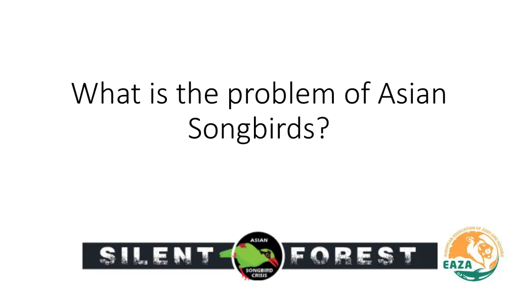 what is the problem of asian songbirds