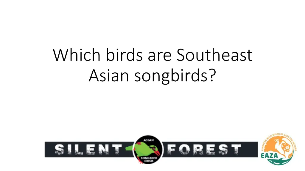 which birds are southeast asian songbirds