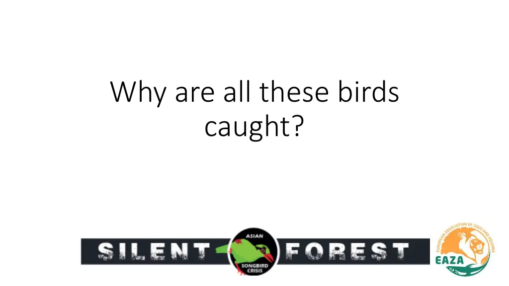 why are all these birds caught