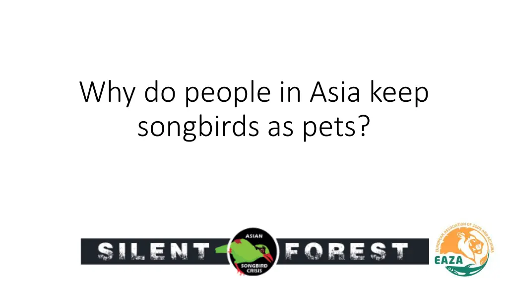 why do people in asia keep songbirds as pets