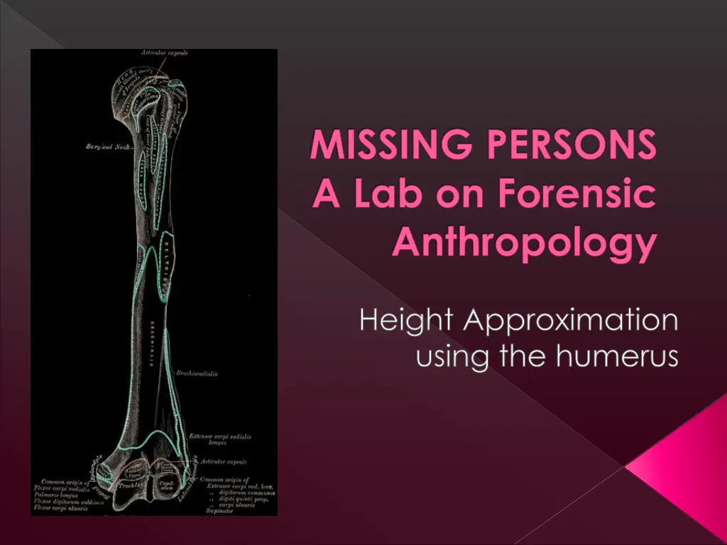 missing persons a lab on forensic anthropology