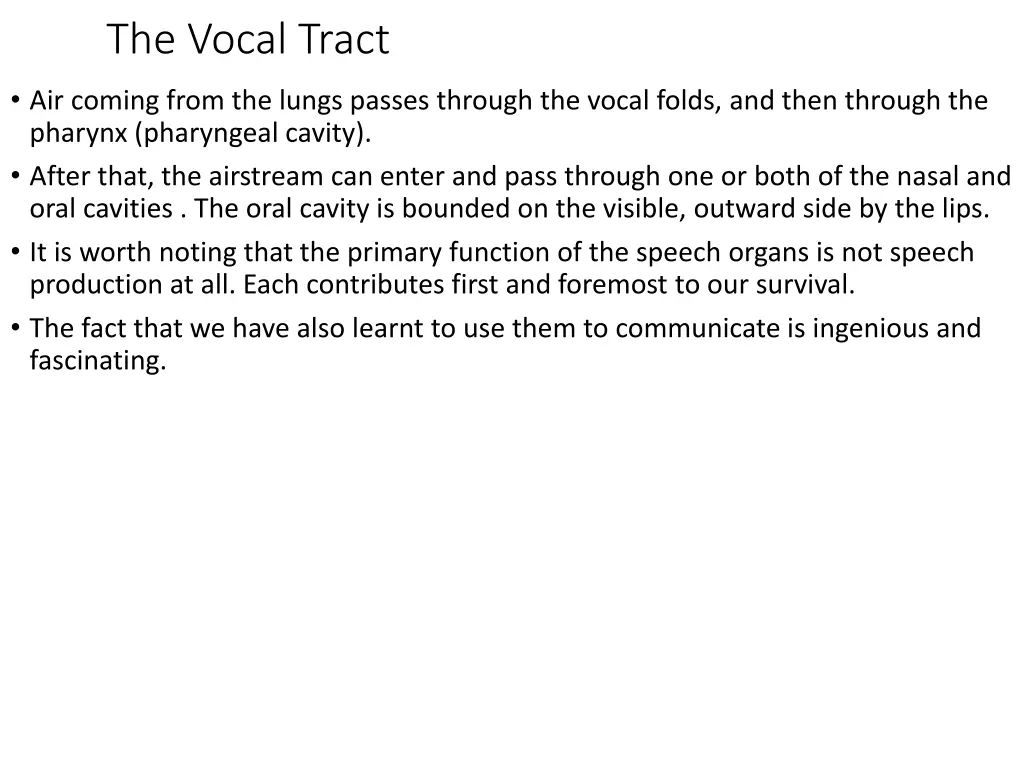 the vocal tract