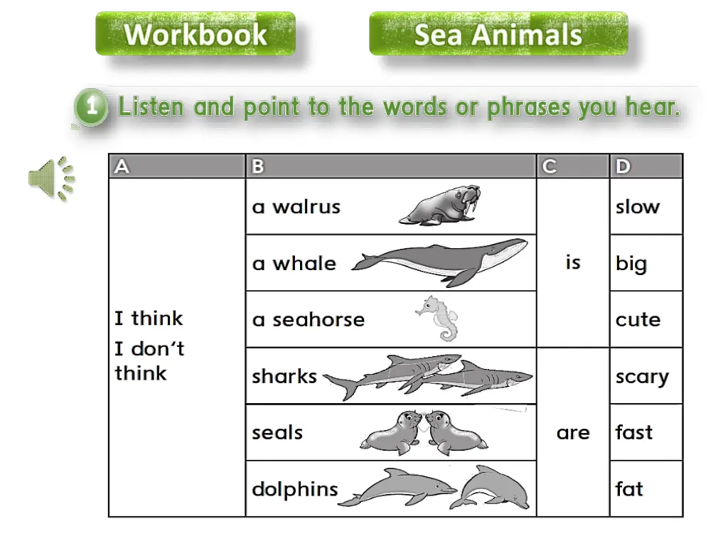 workbook 2